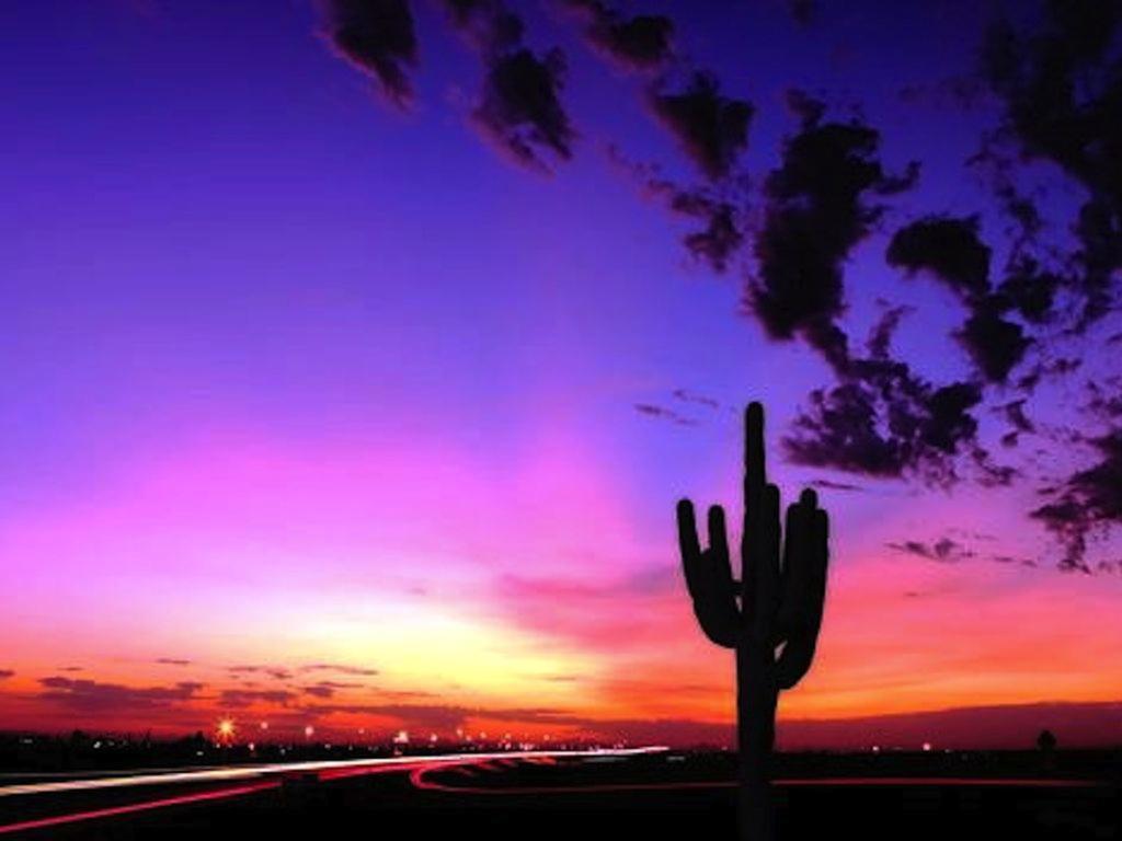 Private Resort Community Surrounded By Mountains W/3 Pool-Spa Complexes, All Heated & Open 24/7/365! Phoenix Luaran gambar
